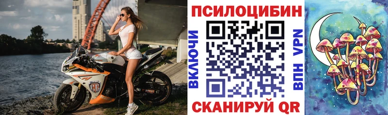 Галлюциногенные грибы мицелий  Купить где  Петровск-Забайкальский 